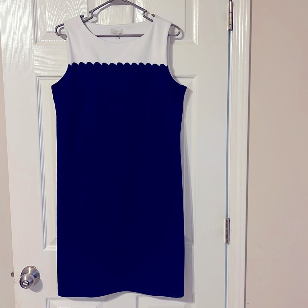 Navy and White Talbots Dress
